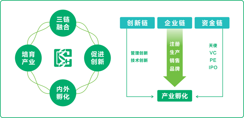 s36沙龙会式孵化